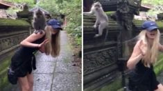 여자에게 점프한 원숭이