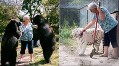 할머니의 사랑 이야기! 반려동물 호랑이와 곰을 소개합니다