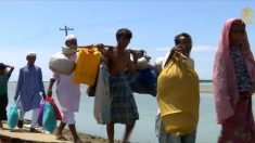 [영상] 미얀마 유혈사태로 로힝야 난민 30만 명 넘어..