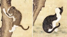 고양이 그림으로 성공한 조선시대 화가