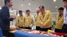 벌써 17건째..중국인 여행객 반입 식료품서 또 ‘아프리카돼지열병 유전자’ 검출