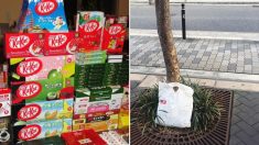 서양인 눈으로 본 일본 특유의 ‘배려·질서·청결함’