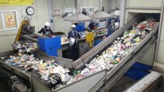 [르포] 쓰레기 재활용률…우리나라 40% vs 일본 80%