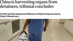“사람의 장기를 얻기 위한 살인이 중국에서 계속 되고 있다” 英 가디언