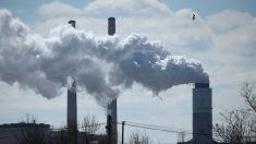 “인간 활동이 기후 변화에 미치는 영향은 미미한 수준” 핀란드대 연구팀