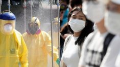 ‘사망률 최대 70%’ 감염병이 중국, 동남아에서 퍼지고 있다