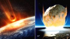 지난주, 지구가 70m 소행성이랑 충돌해 살짝 박살날 뻔했다