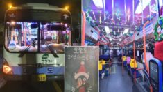 지친 승객들 위해 부산 버스 기사님이 밤새 준비했다는 ‘크리스마스 버스’가 전해졌다