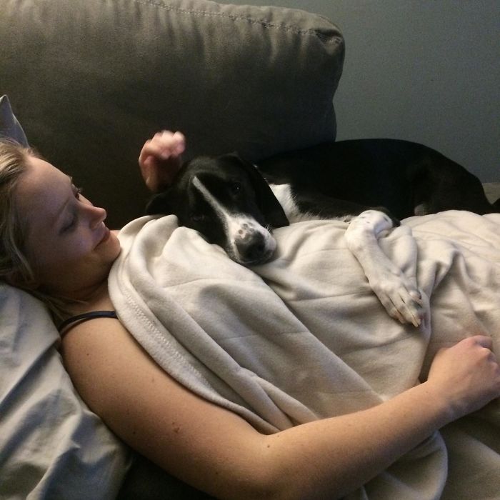 I Have No Doubt In My Mind My Dog Knows I'm Pregnant I Have No Doubt In My Mind My Dog Knows I