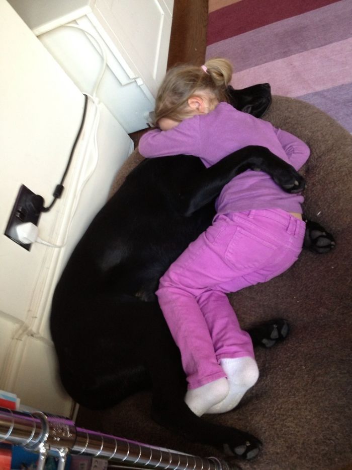When She Comes Home From A Long Day At School, Having A Bad Day, Been Told Off Or Sad. Her Best Friend Is Here For Her When She Comes Home From A Long Day At School, Having A Bad Day, Been Told Off Or Sad. Her Best Friend Is Here For Her