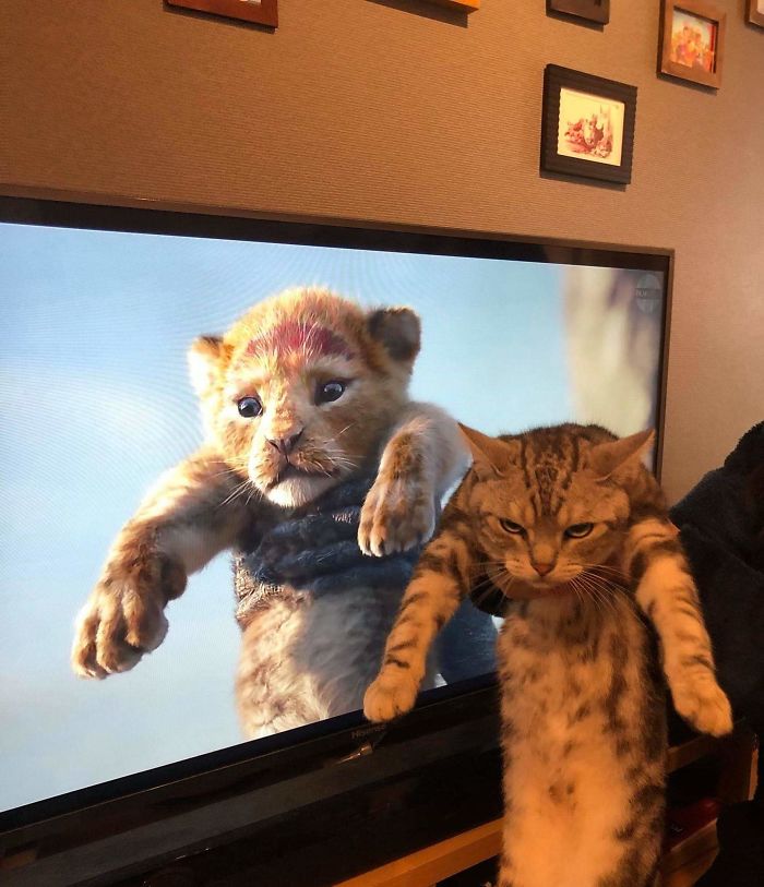 Movie Vs Real Life Movie Vs Real Life