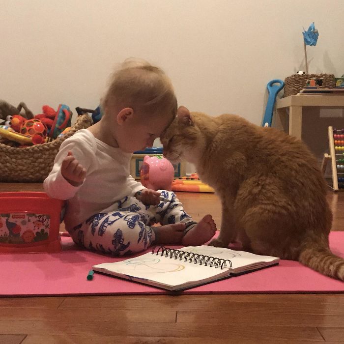 My 1.5yr Old Son And 14yr Old Cat Had A Moment This Morning My 1.5yr Old Son And 14yr Old Cat Had A Moment This Morning