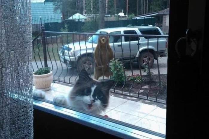 "Sandra Can You Open The Door Bit Of A Situation Here" "Sandra Can You Open The Door Bit Of A Situation Here"