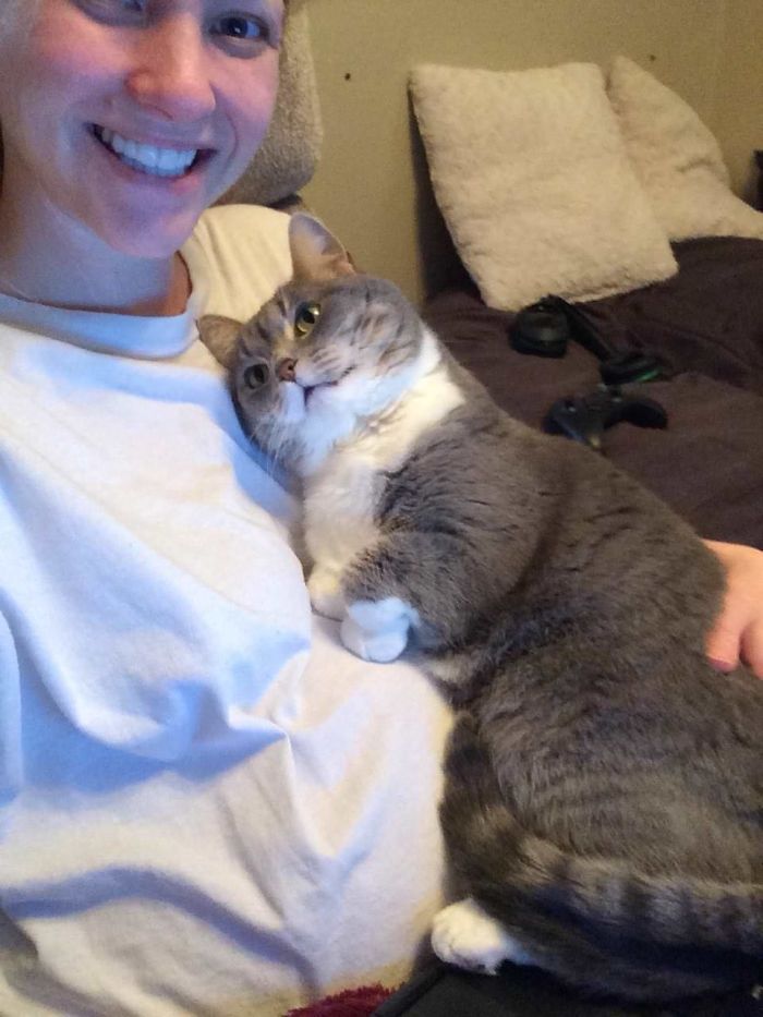 My Cat Admiring My Pregnant Wife My Cat Admiring My Pregnant Wife