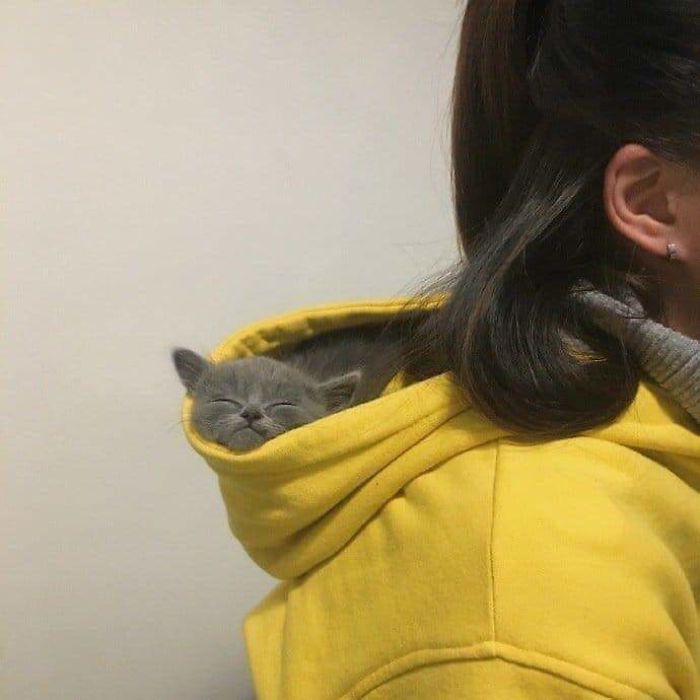 So Smol. So Smug So Smol. So Smug
