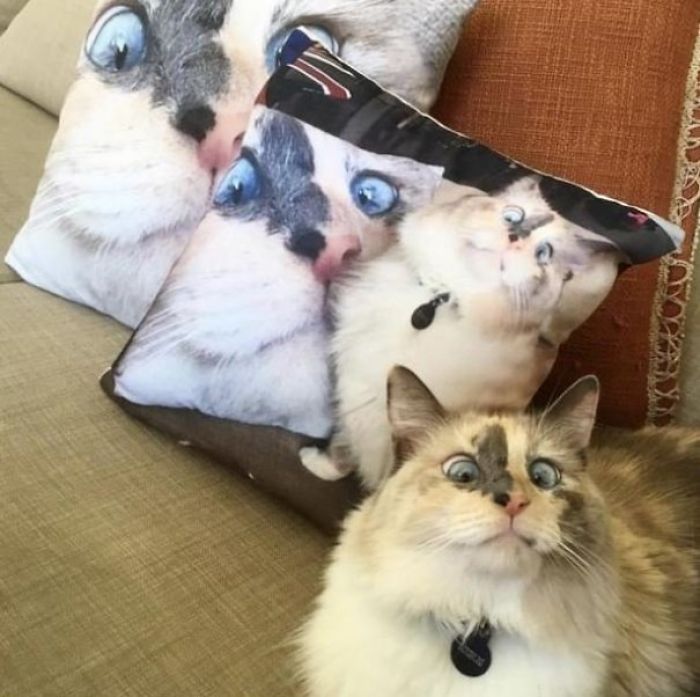Am I A Joke To You, Brenda? Am I A Joke To You, Brenda?