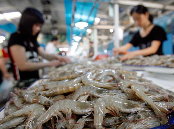 Shrimp in a wet market in Beijing, China. 