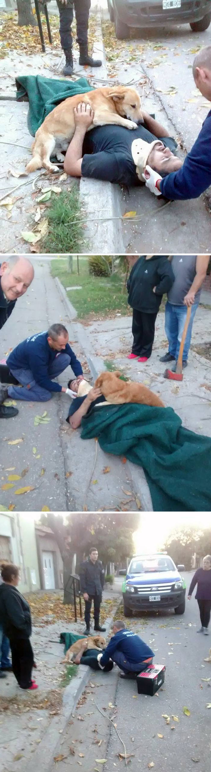 Concerned Dog Refuses To Stop Hugging His Owner Who Was Injured In A Fall Concerned Dog Refuses To Stop Hugging His Owner Who Was Injured In A Fall