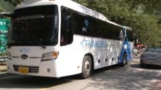 K-트래블버스 타고 한국문화 즐겨요~~