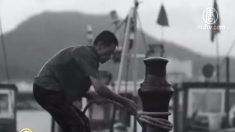 [禁闻] 중공 광고 영상 ‘나는 누구인가’에 네티즌 눈물