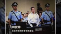 [禁闻] 민중운동 강의실이 된 저우스펑 재판