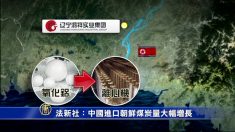 [禁闻] 중국, 북한산 석탄 수입량 대폭 증대 外