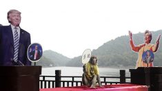 [영상] 中예언 원숭이, 트럼프가 승리할것으로 전망
