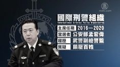 중국 공안부 부부장 인터폴 총재 선출