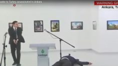터키와 독일 테러사건, 세계 증시 주춤