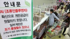 정부, 계란 등 긴급할당관세 시행 및 공급 확대방안 추진