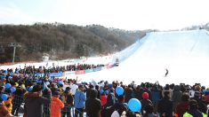 G-1 평창올림픽 , 테스트이벤트 개최