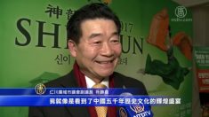 션윈 공연은  최고의 예술 작품
