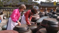 [헬코가 만난 사람들] 261회 한국의 맛을 찾아 떠나는 여행 ‘순창’