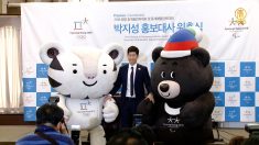 [영상] 박지성, 평창동계올림픽 홍보대사 위촉