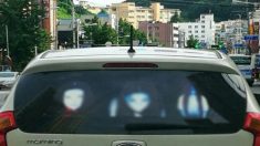상향등을 비추면 귀신이 나타나요… ‘상향등 복수 스티커’