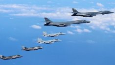 [영상] 美B-1B, F-35B 한반도 상공에 동시 출격