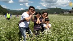 [영상] 평창 효석문화제.. 메밀꽃 향이 가득