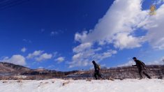 12월 가볼 만한 곳! 겨울 여행 떠나볼까☃️  [헬로우 코리아] 276회