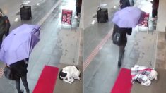 비 오는 날, 카페 입구에서 떨고 있는 개 보더니 머플러 덮어주고 총총히 떠난 터키 여성
