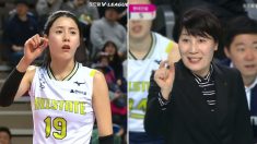 ‘감독님 제발 한 번만…’, 경기 중 카메라 판독 애원하는 이다영 선수