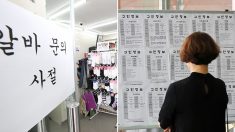 빈 일자리 88개월만에 최대폭 감소…”노동력 수요 줄어든 상황”