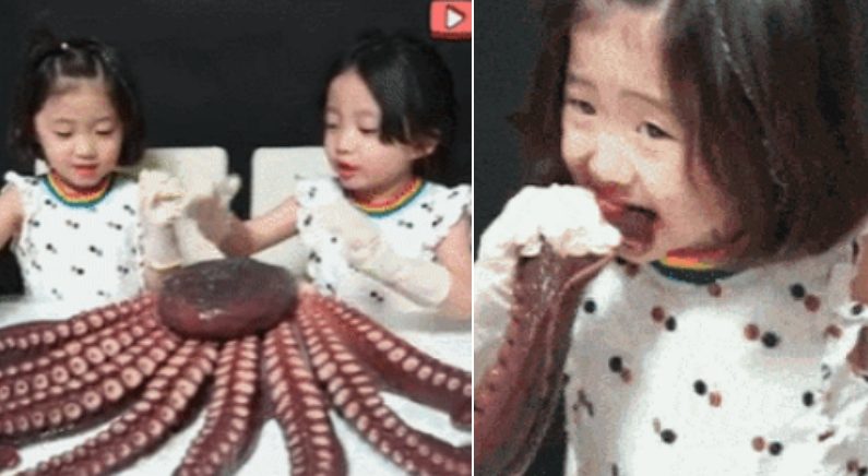 6살 쌍둥이 자매의 ‘대형문어 먹방’이 논란이 된 이유 (영상)