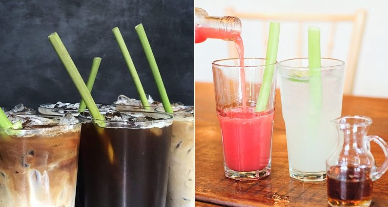 “쓰레기도 확 줄었다” 요즘 동남아에서 유행하는 친환경 ‘공심채’ 빨대