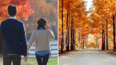 “여름아 잘 가라” 좋은 사람과 ‘선선한 바람’ 맞으며 걷기 좋은 ‘가을’이 온다