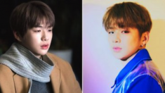 “너무 힘들어요” 악플에 고통 호소하던 강다니엘 활동 중단 선언