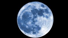 어젯밤 “유난히 예뻤다”는 올해의 마지막 보름달 ‘콜드 문’