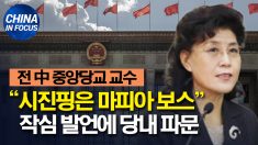 “시진핑은 마피아 보스”.. 전 중앙당교 교수 작심 발언에 당내 파문