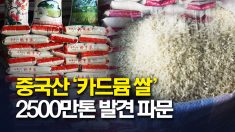 중국산 유해 중금속 쌀 2500만 톤 발견