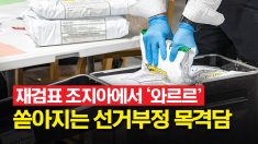 조지아 재검표하자 선거부정 목격담 ‘와르르’ 쏟아졌다