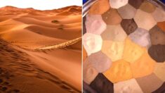사하라 사막 다니면서 주운 ‘색다른 모래들’을 모아놓은 사진